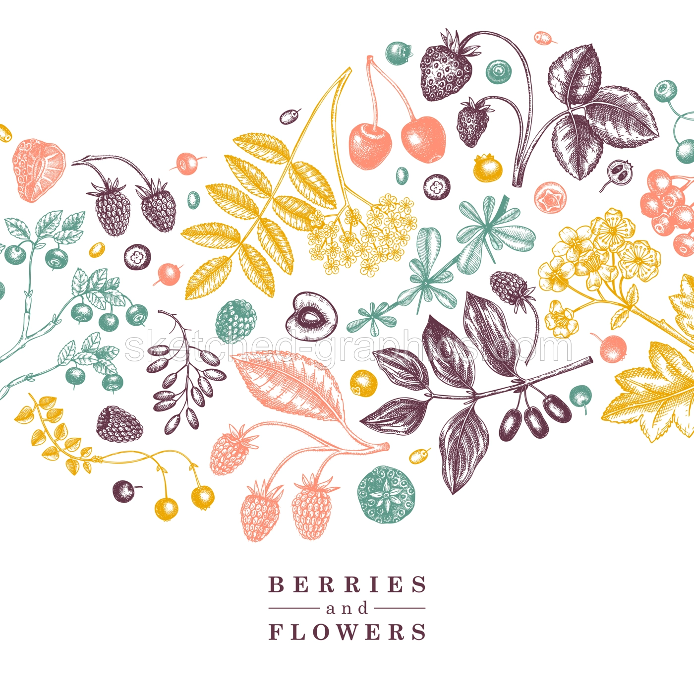 Wild berries card or invitation in engraved style. Hand drawn fruits and flowers vector frame design. Vintage plants sketch. Summer berries - strawberry, raspberry, bilberry, blackberry, cherry. Illustration